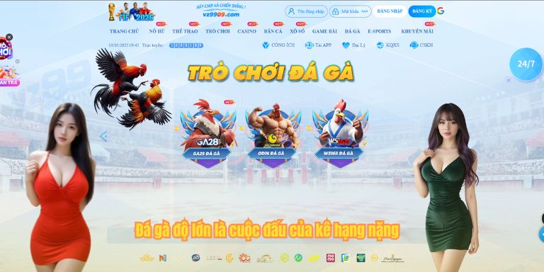 Đá gà độ lớn là cuộc đấu của kê hạng nặng