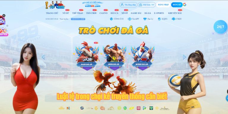 Luật lệ trong chọi kê truyền thống cần biết