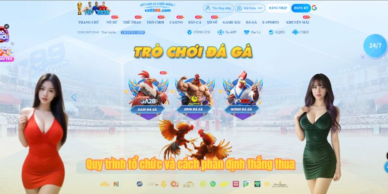 Quy trình tổ chức và cách phân định thắng thua